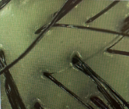 스크린샷_2026-10-02_101803.png