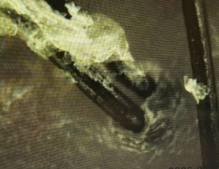스크린샷_2026-10-02_102656.png