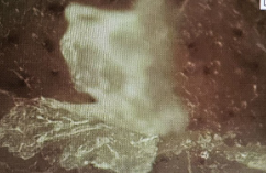 스크린샷_2026-10-02_103532.png