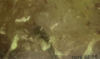 스크린샷_2026-10-02_150911.png