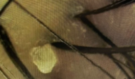 스크린샷_2026-10-02_143828.png