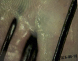 스크린샷_2026-10-02_104332.png